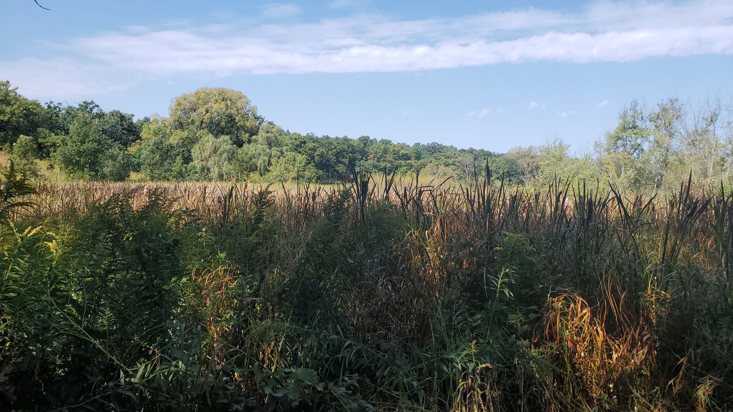 Crab Tree Nature Center 